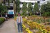 Flower Garden2